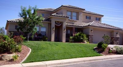 Front yard with grass on a slope