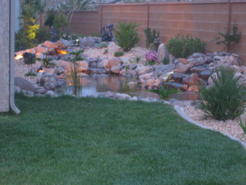 pond with rocks