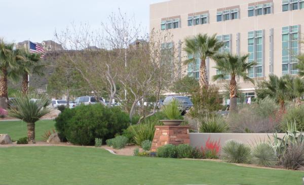 desert landscape with lawn