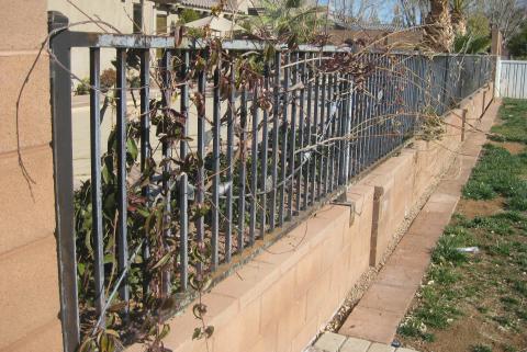 wrought iron fence