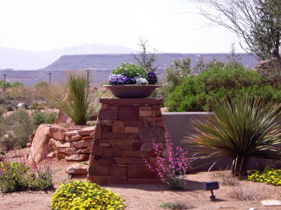 Southwest Flower Garden