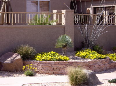 desert flower garden