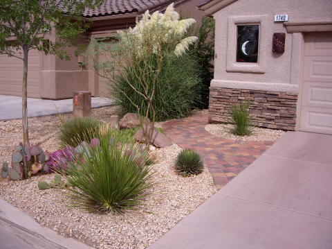 variety of landscaping bushes