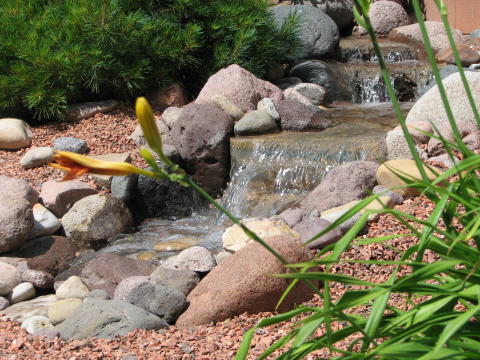 small creek waterfeature under a pine tree