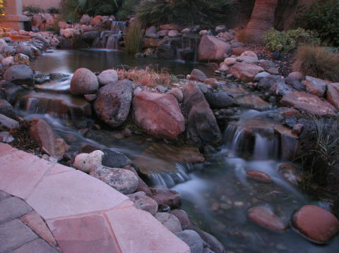 water garden