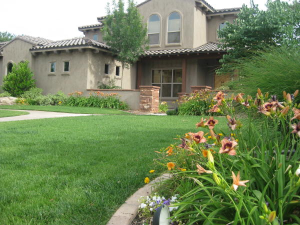 Colorful Front Yard