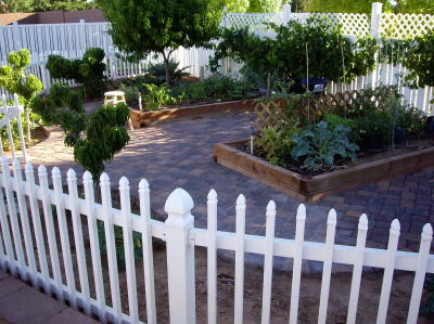 fenced garden area