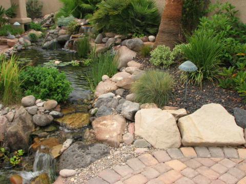 beautiful water garden landscaping