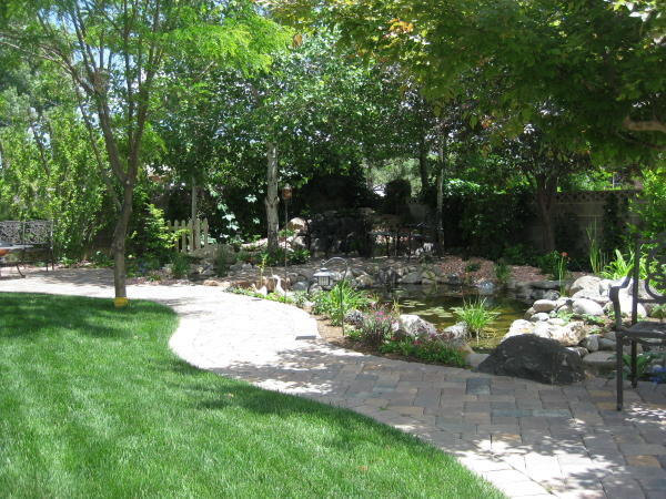 secluded pond landscaping