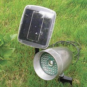 Solar light with pannel