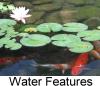 koi pond with water lilies