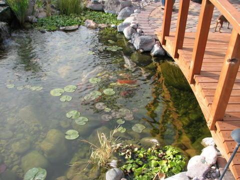 hot tub landscaping