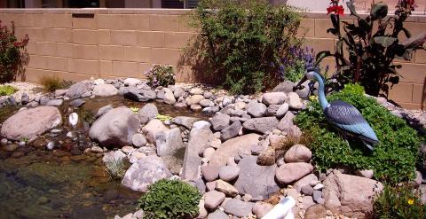 Plastic Crane Statue to scare birds